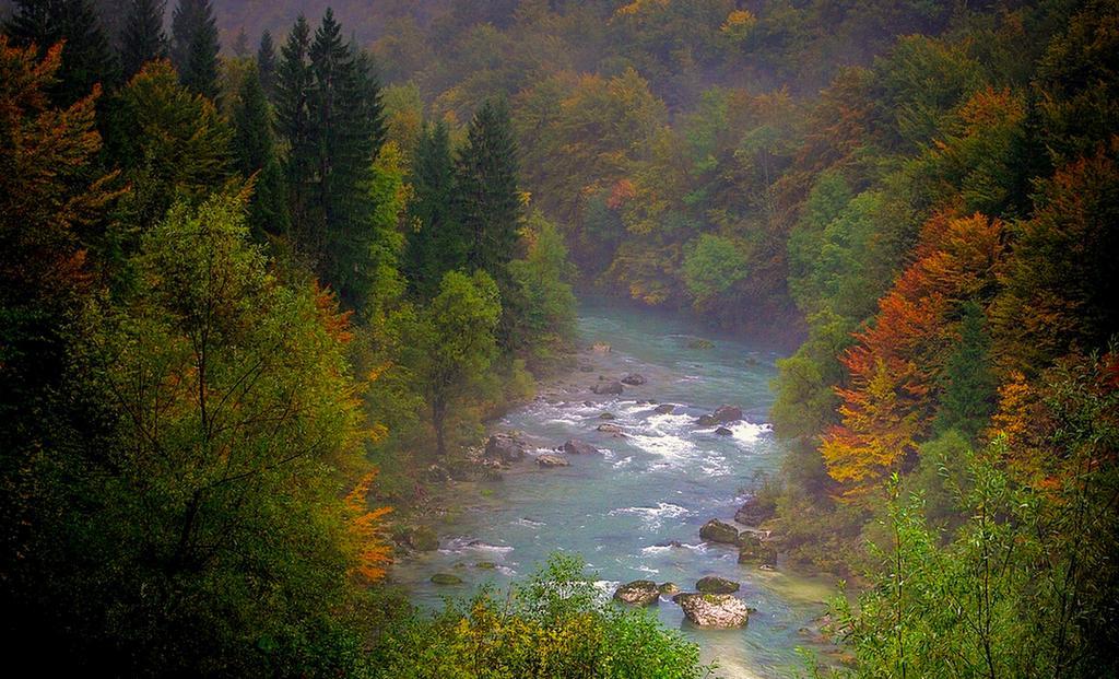Apartmaji Pri Marodnu Bohinj ภายนอก รูปภาพ