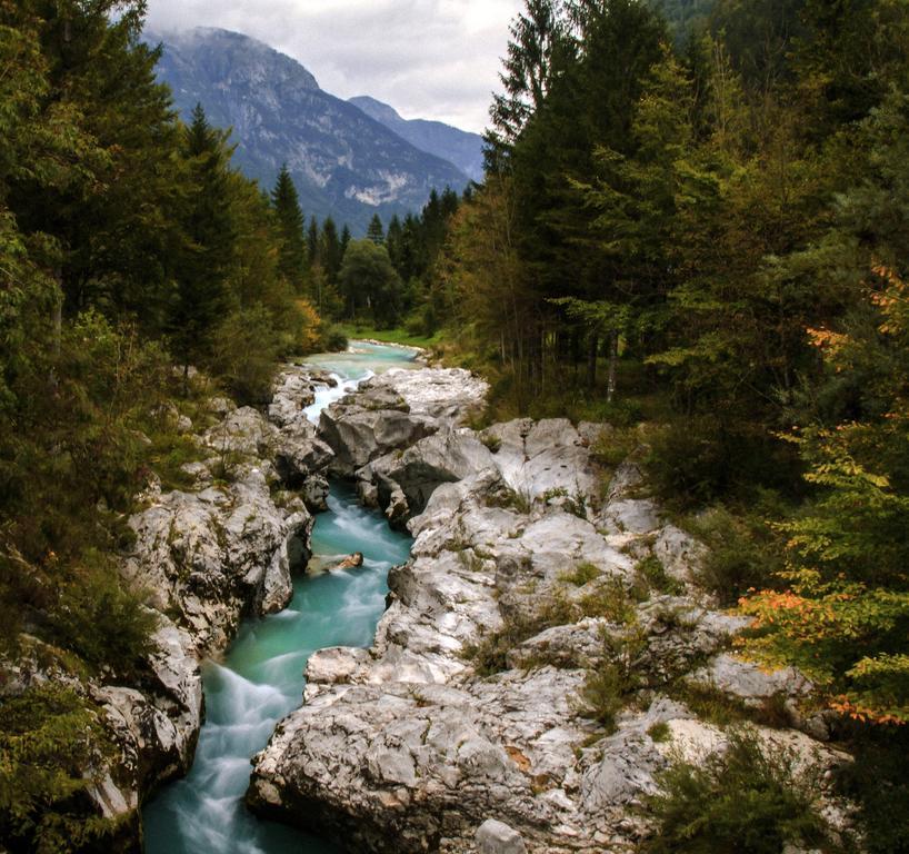 Apartmaji Pri Marodnu Bohinj ภายนอก รูปภาพ