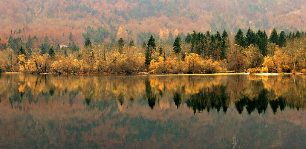 Apartmaji Pri Marodnu Bohinj ภายนอก รูปภาพ