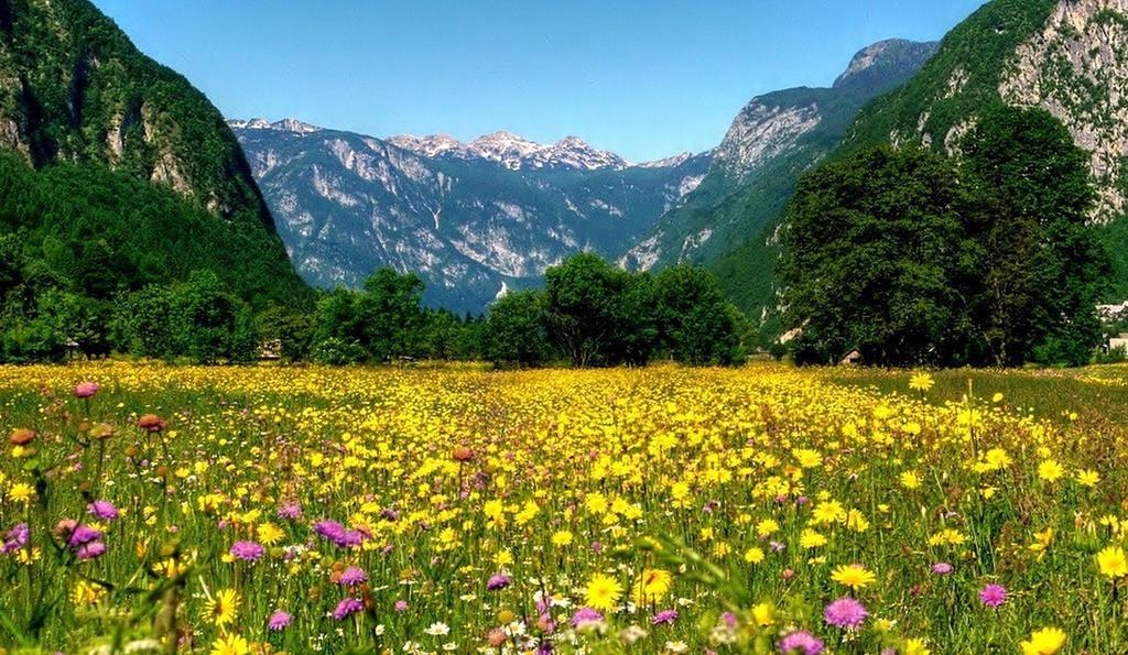 Apartmaji Pri Marodnu Bohinj ภายนอก รูปภาพ